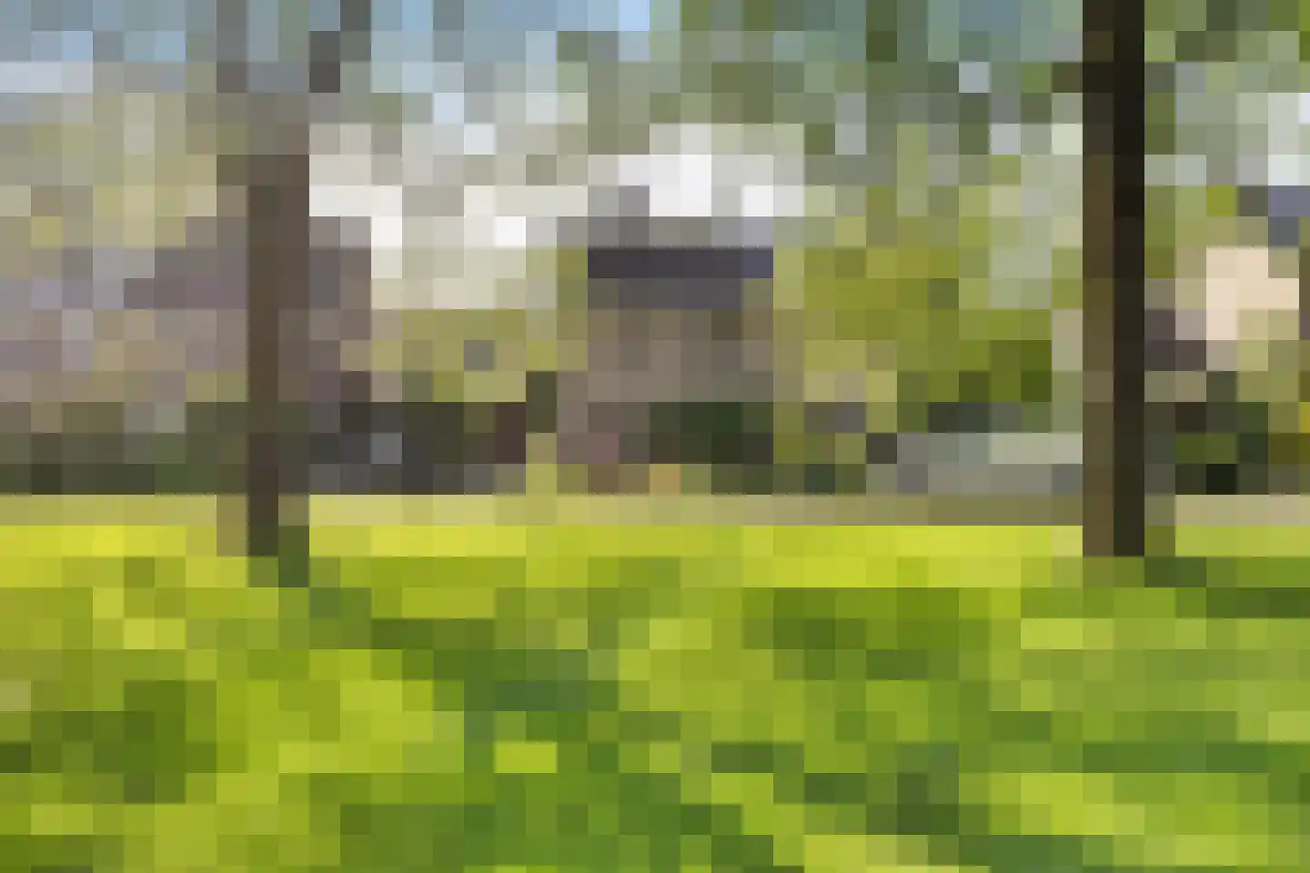 Wagnerlaan 16 Assen thumbnail 39