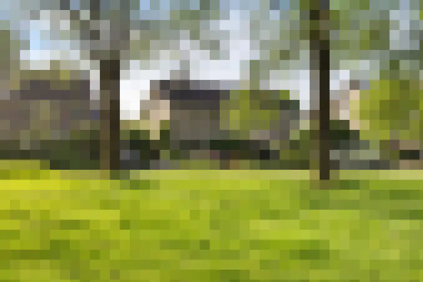 Wagnerlaan 16 Assen thumbnail 40