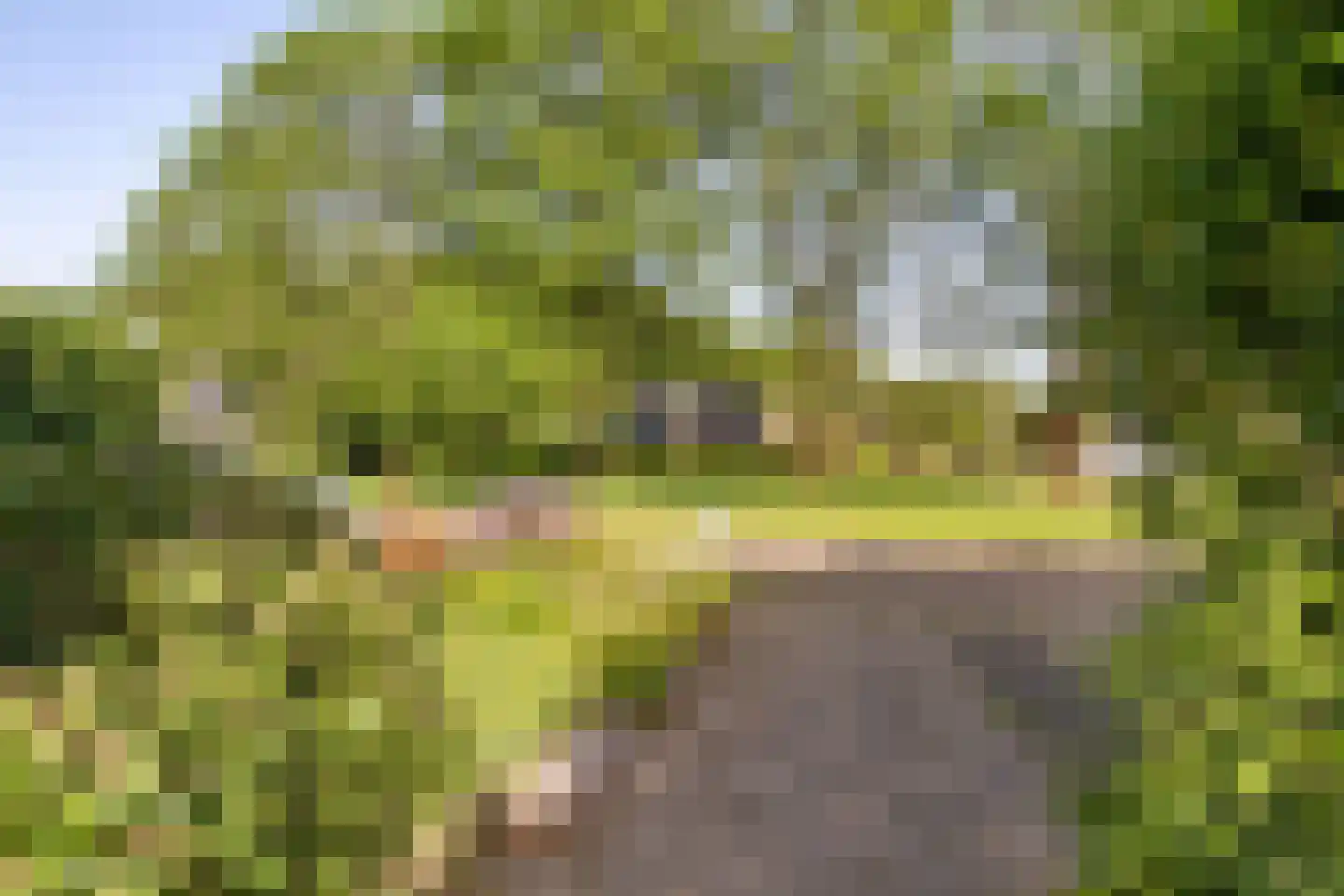 Wagnerlaan 16 Assen thumbnail 42