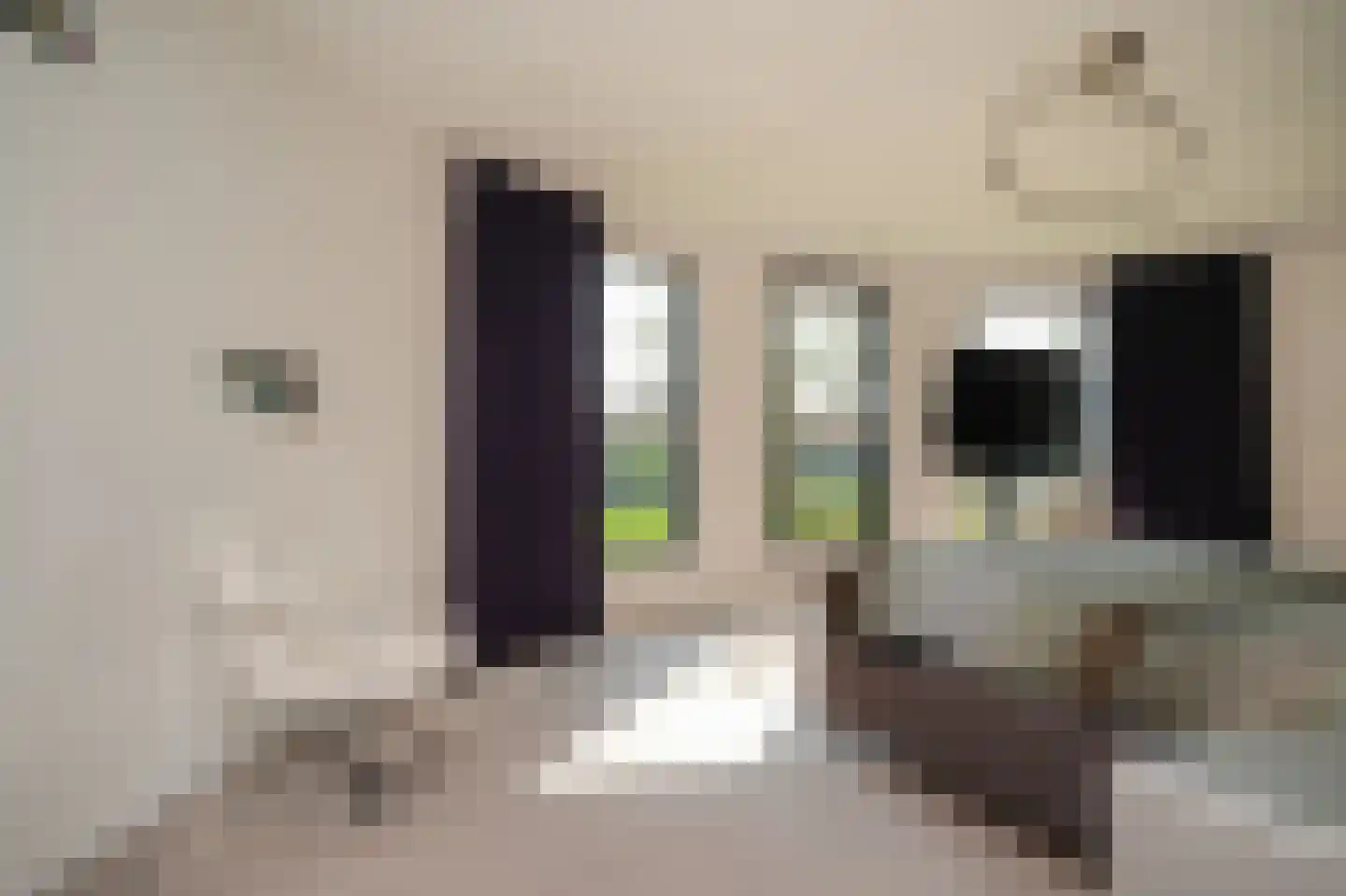 Wagnerlaan 19 's-Hertogenbosch thumbnail 30