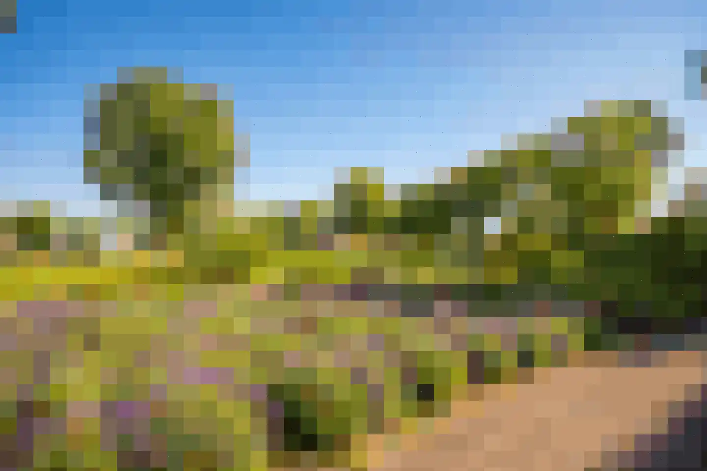 Wagnerlaan 19 's-Hertogenbosch thumbnail 64
