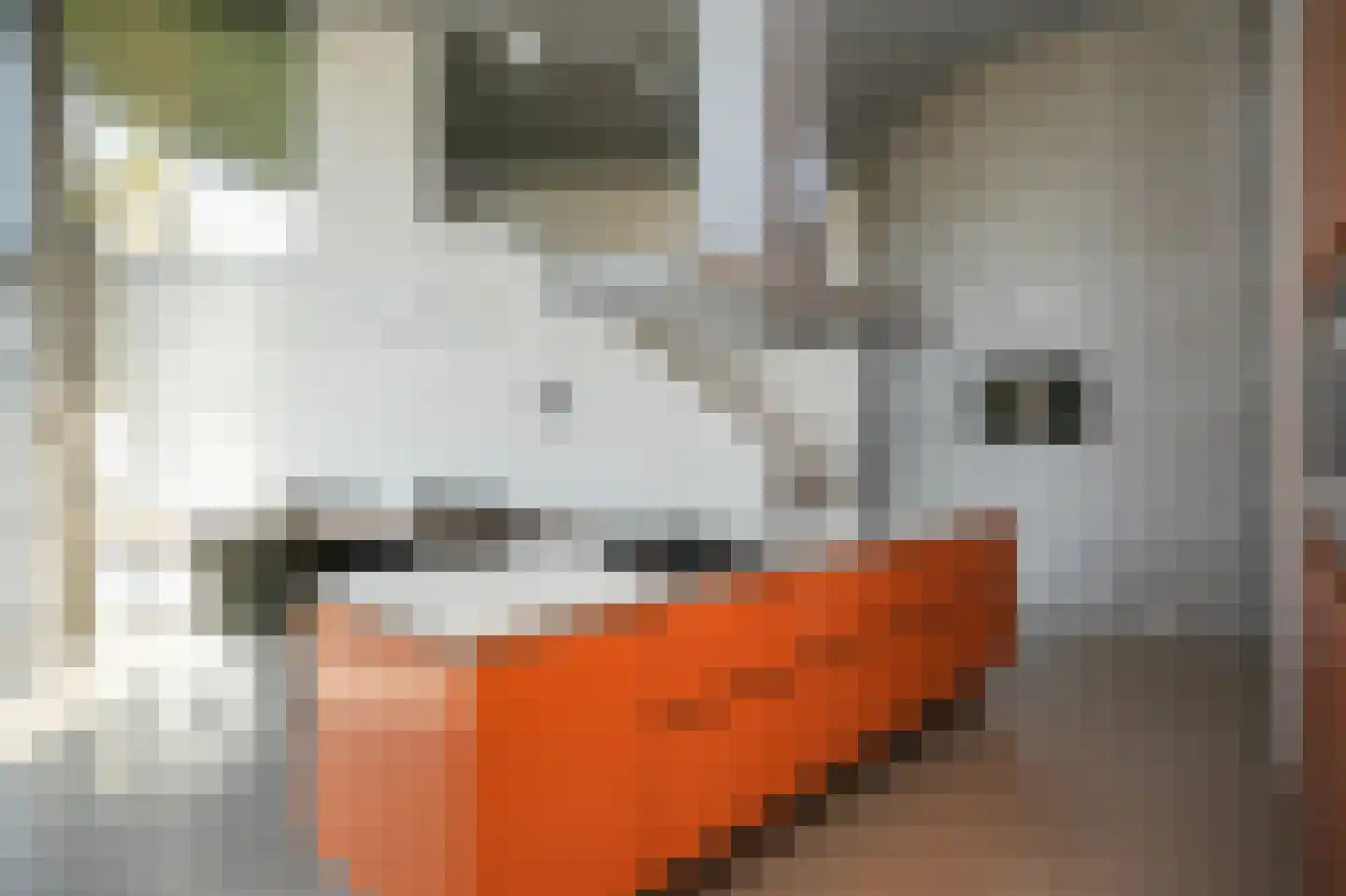 Wagnerlaan 19 's-Hertogenbosch thumbnail 8