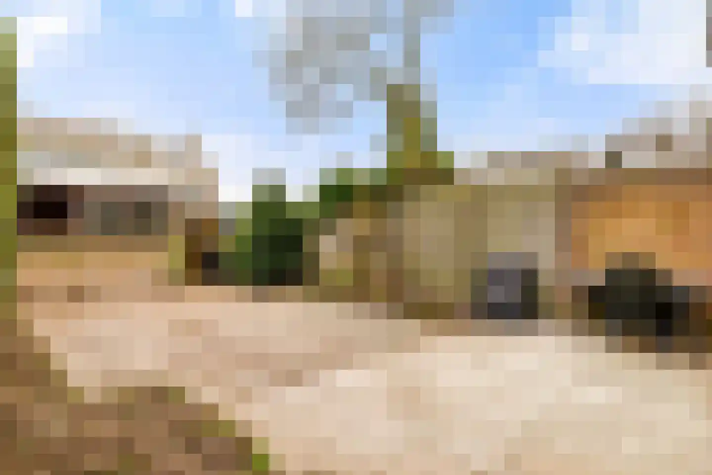 Wagnerlaan 20 Akersloot thumbnail 38