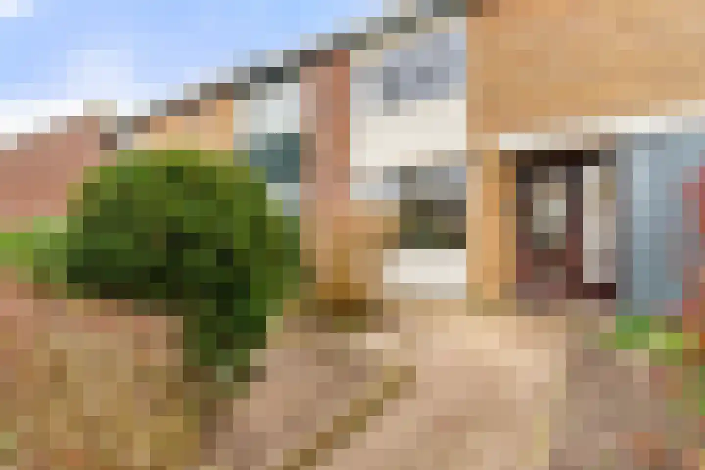 Wagnerlaan 20 Akersloot thumbnail 9