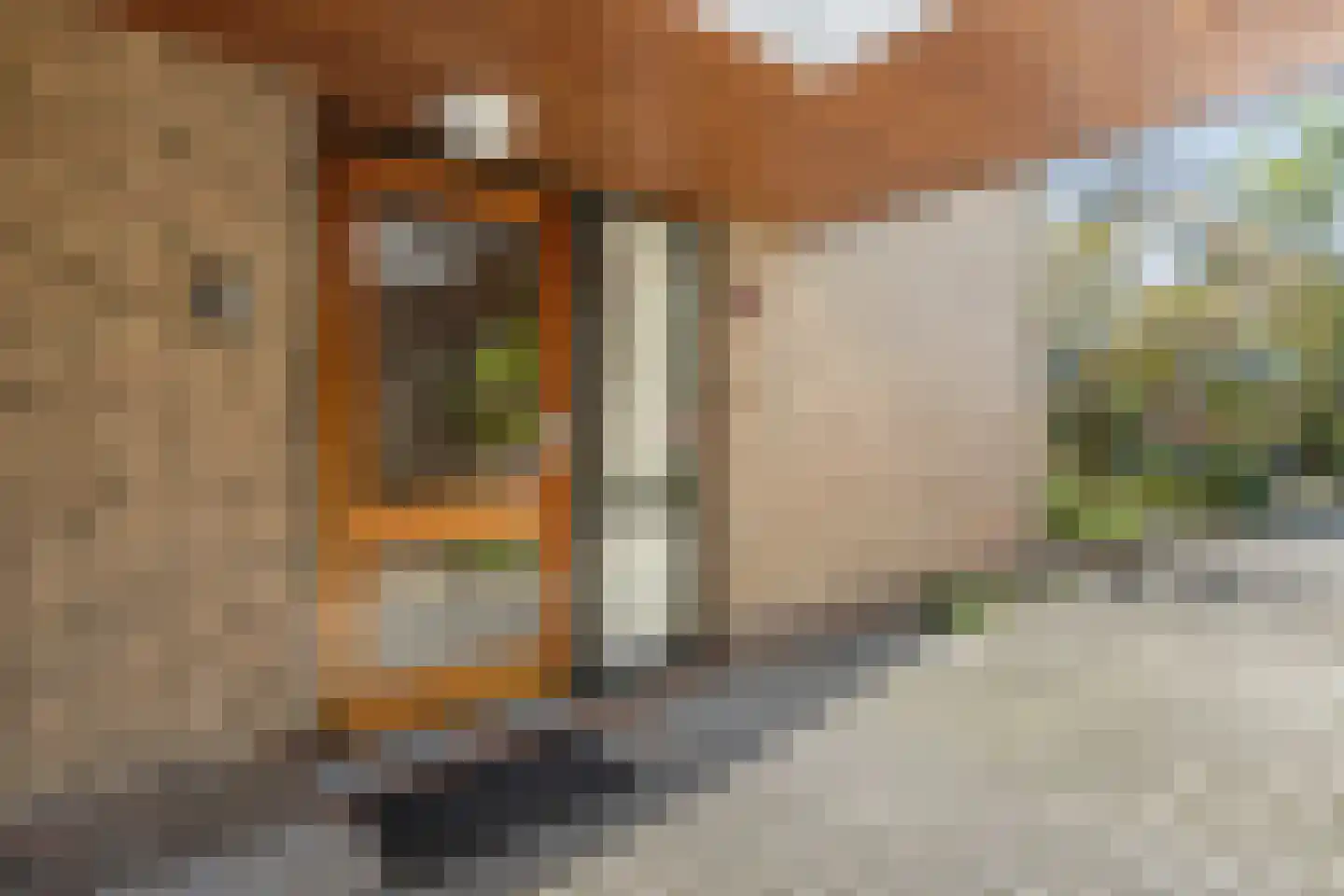 Wagnerlaan 20 Naarden thumbnail 8