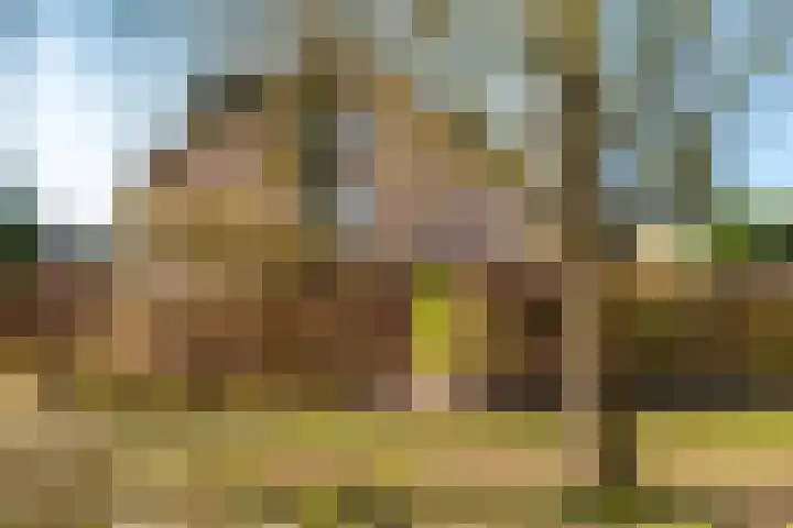 Wagnerlaan 22 Naarden thumbnail 30