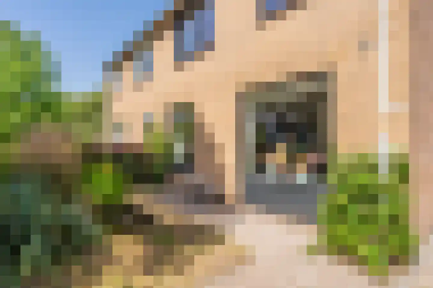 Wagnerlaan 25 Assen thumbnail 10