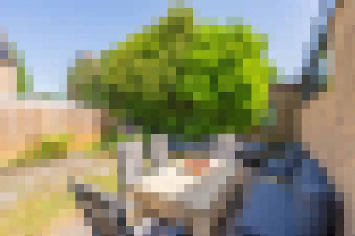 Wagnerlaan 25 Assen thumbnail 49