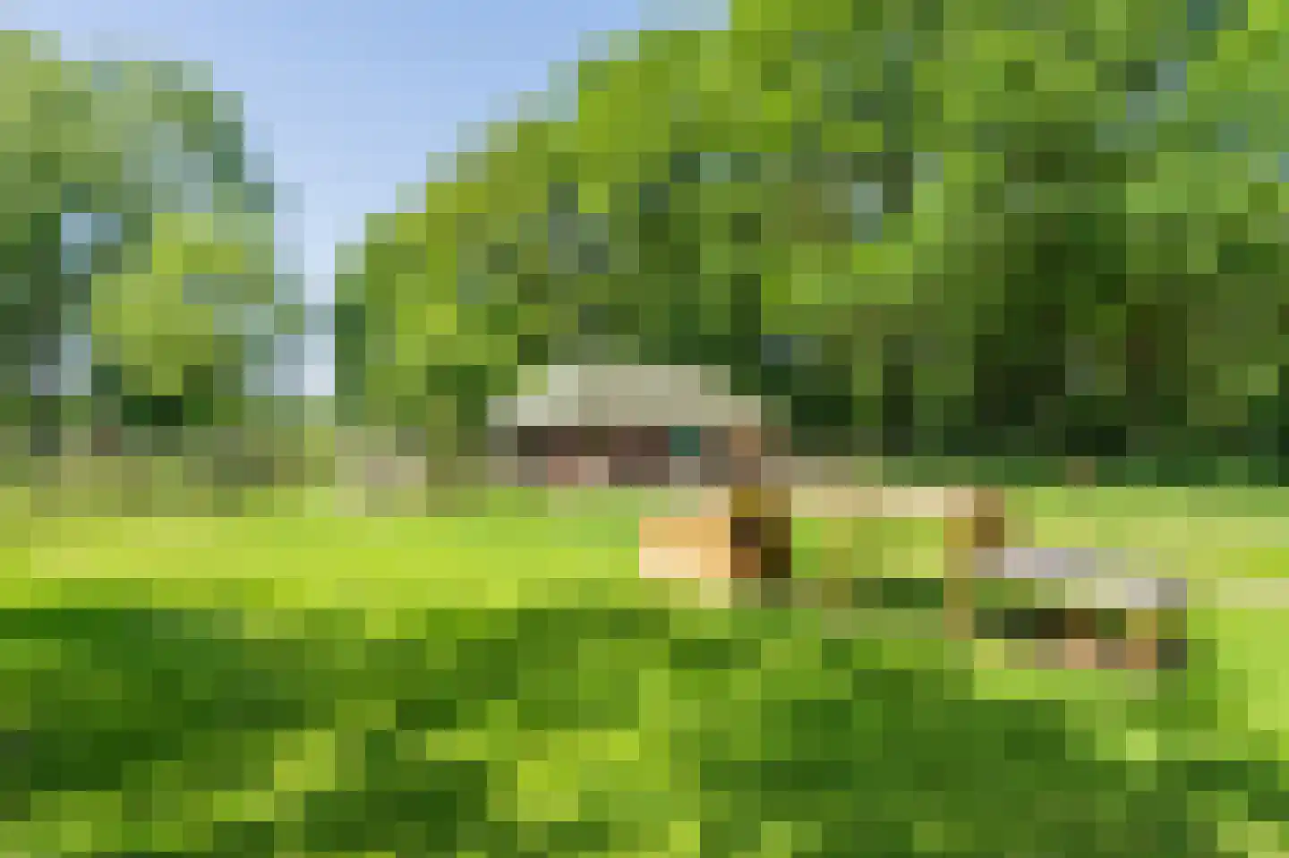 Wagnerlaan 25 Assen thumbnail 59