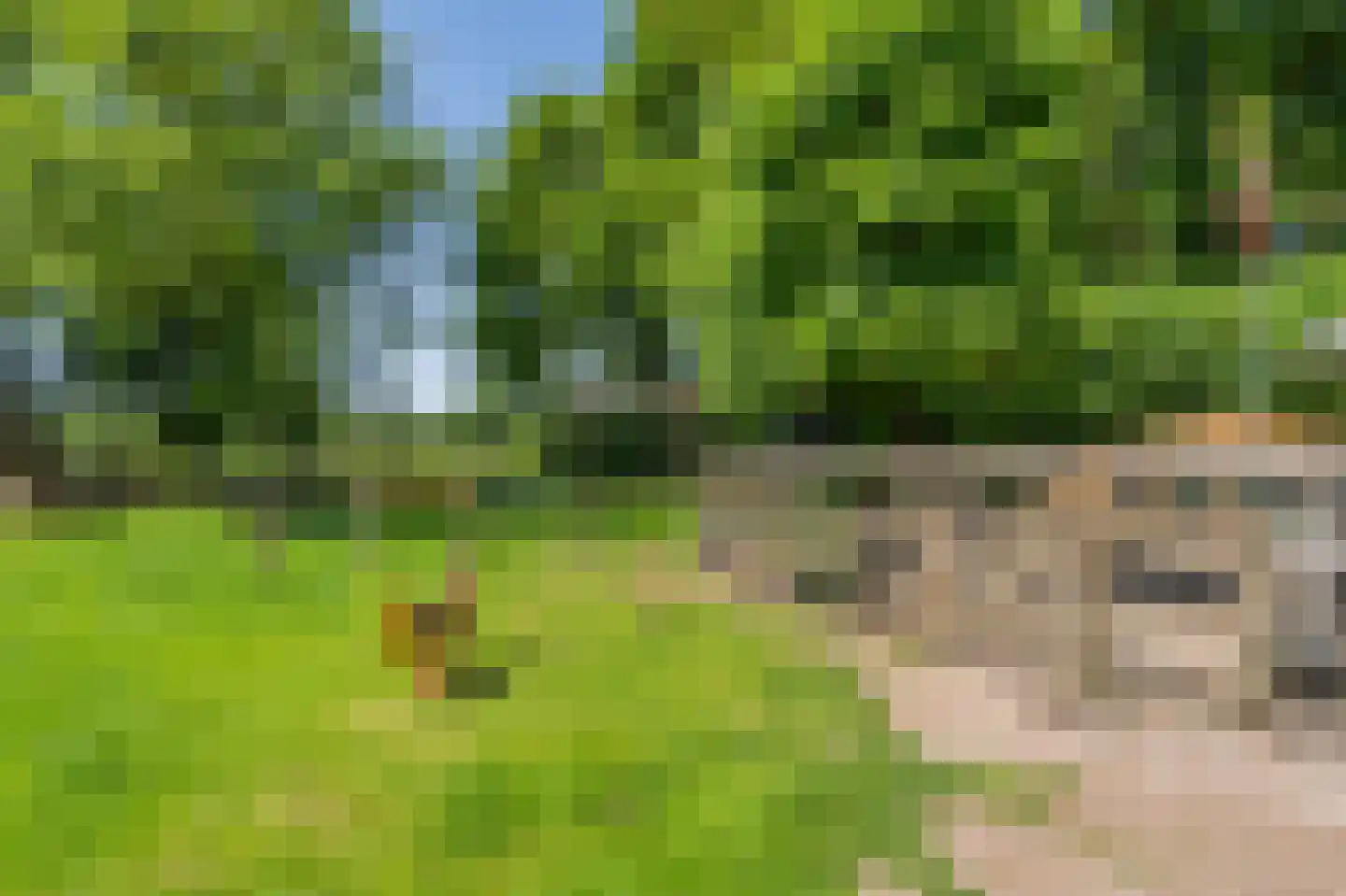 Wagnerlaan 25 Assen thumbnail 61