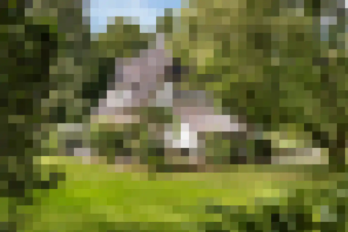 Wagnerlaan 36 Bilthoven thumbnail 36