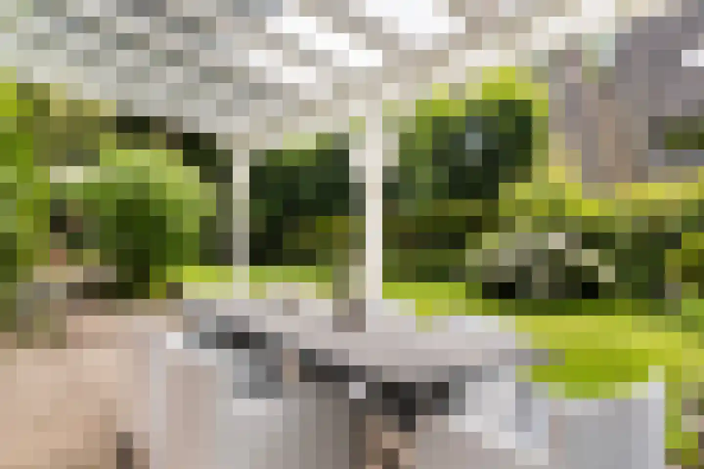 Wagnerlaan 36 Bilthoven thumbnail 38