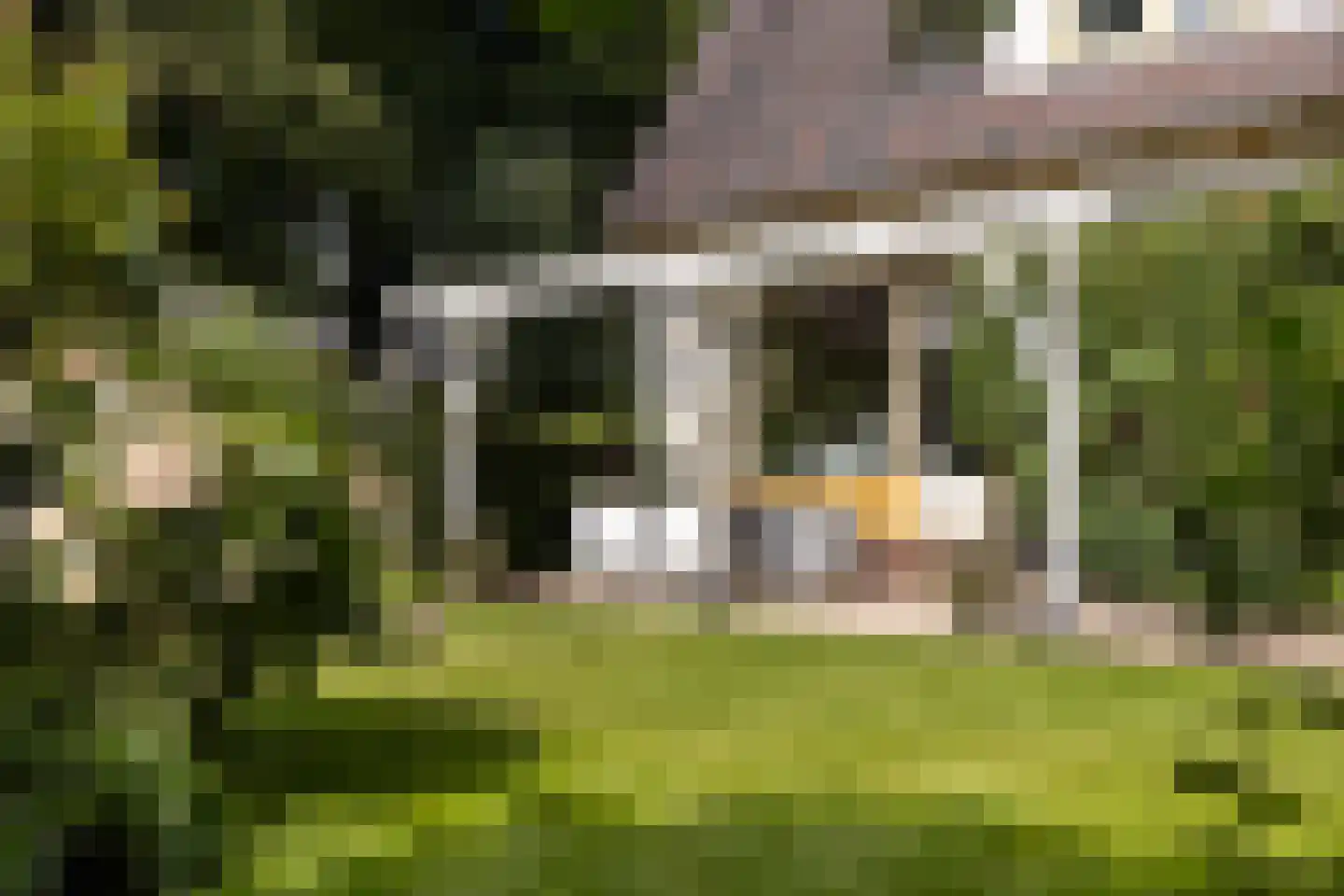 Wagnerlaan 36 Bilthoven thumbnail 39