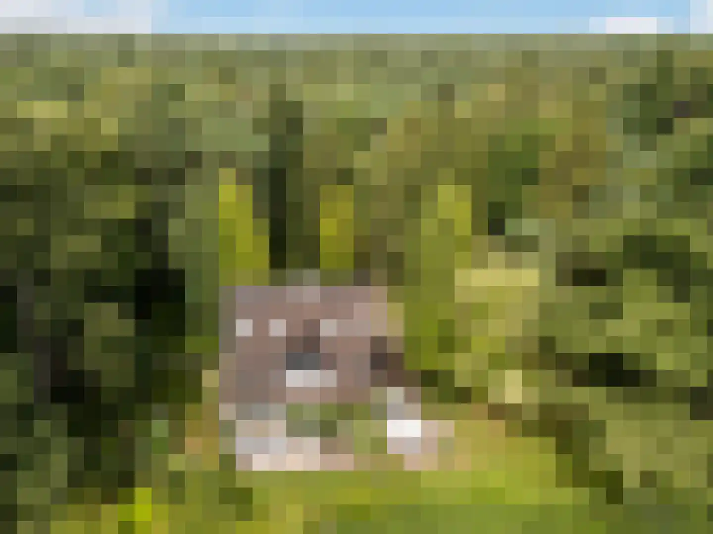 Wagnerlaan 36 Bilthoven thumbnail 4