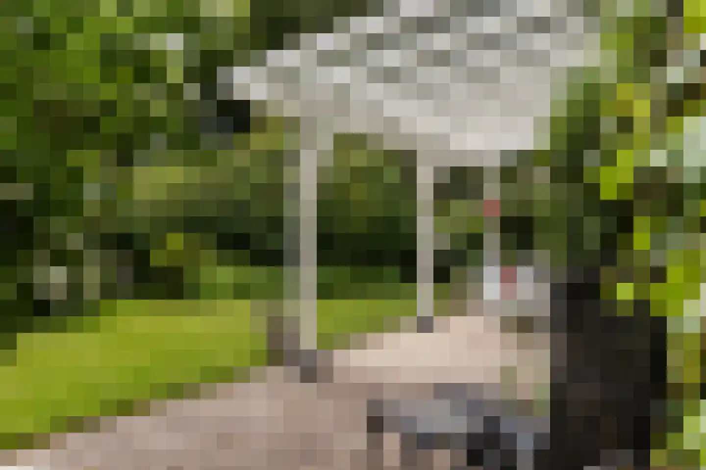 Wagnerlaan 36 Bilthoven thumbnail 40