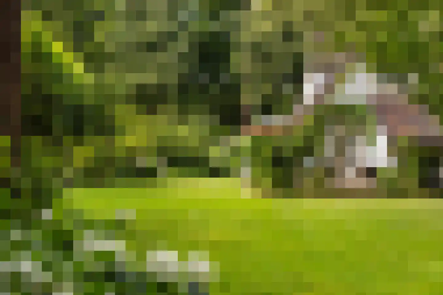 Wagnerlaan 36 Bilthoven thumbnail 41