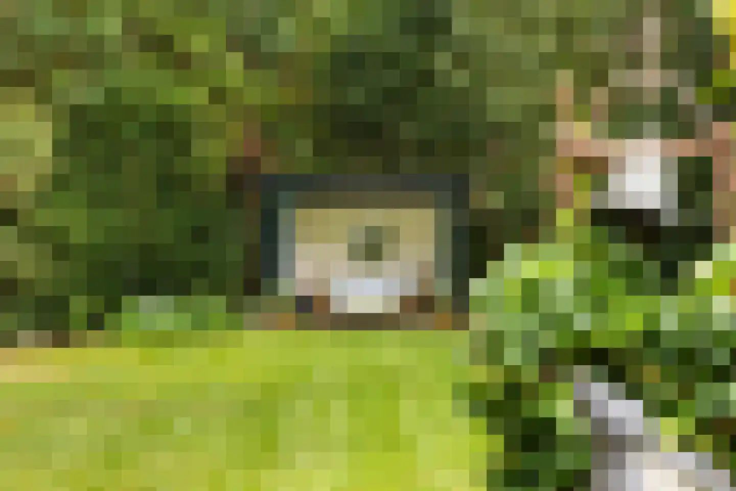 Wagnerlaan 36 Bilthoven thumbnail 42
