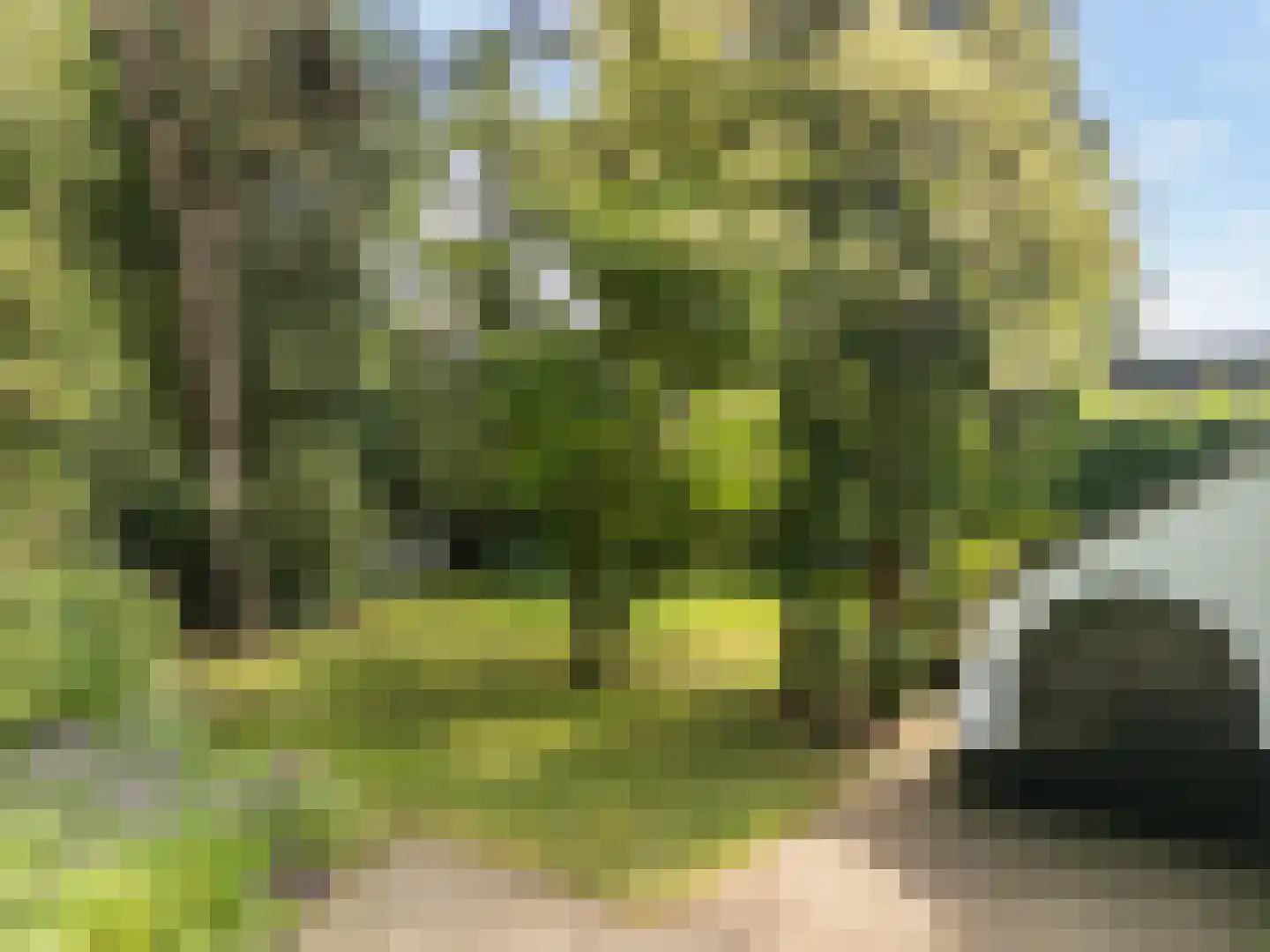 Wagnerlaan 36 Bilthoven thumbnail 43