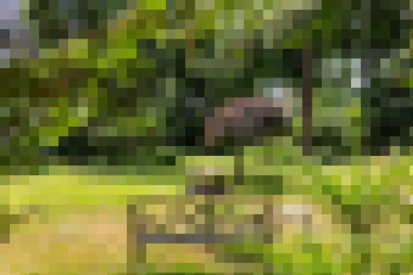 Wagnerlaan 36 Bilthoven thumbnail 44