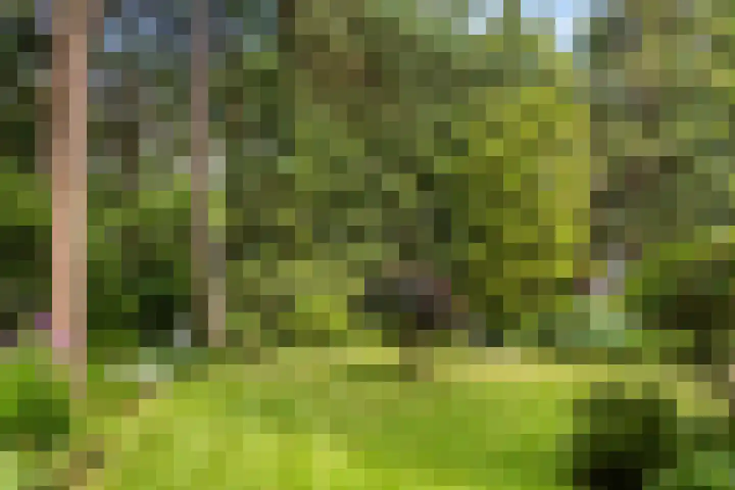 Wagnerlaan 36 Bilthoven thumbnail 45