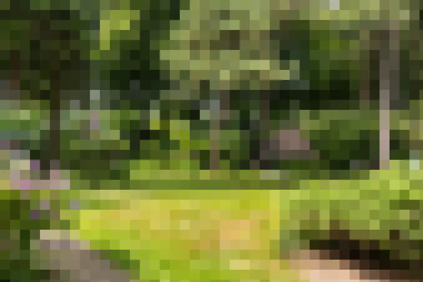 Wagnerlaan 36 Bilthoven thumbnail 47