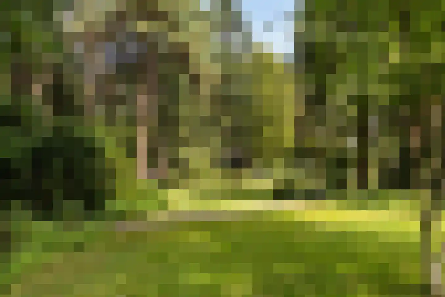 Wagnerlaan 36 Bilthoven thumbnail 50