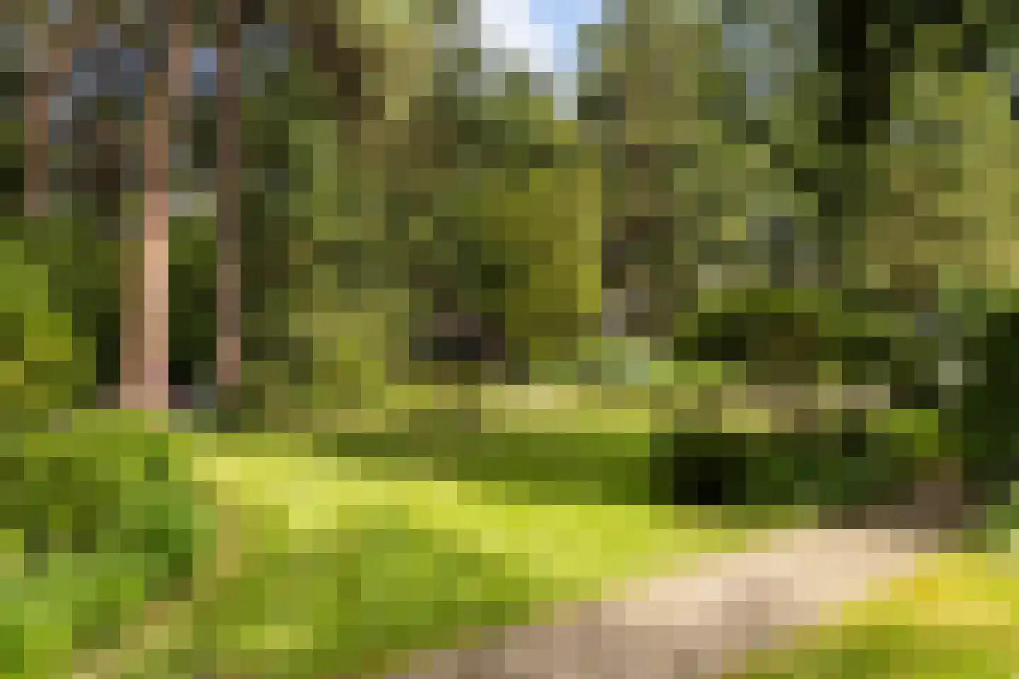 Wagnerlaan 36 Bilthoven thumbnail 51
