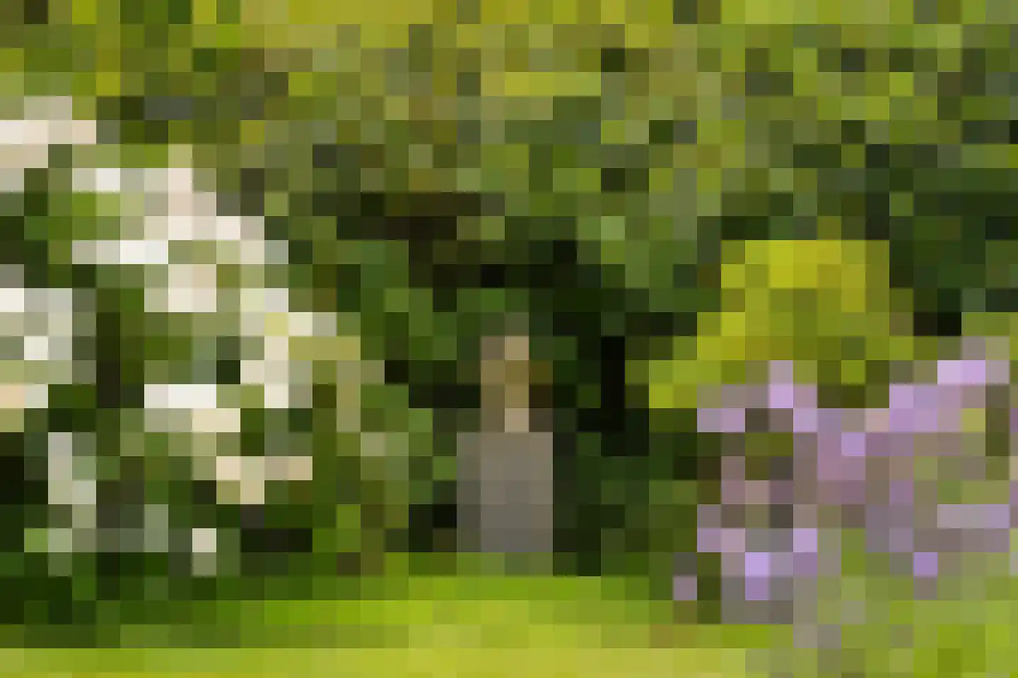 Wagnerlaan 36 Bilthoven thumbnail 52
