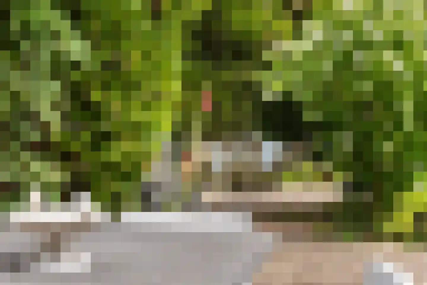 Wagnerlaan 36 Bilthoven thumbnail 53