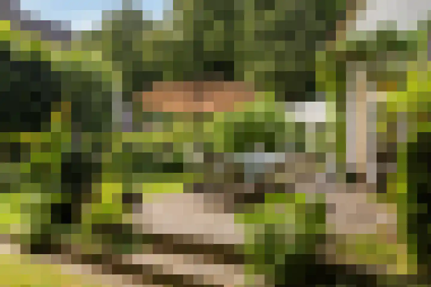 Wagnerlaan 36 Bilthoven thumbnail 56
