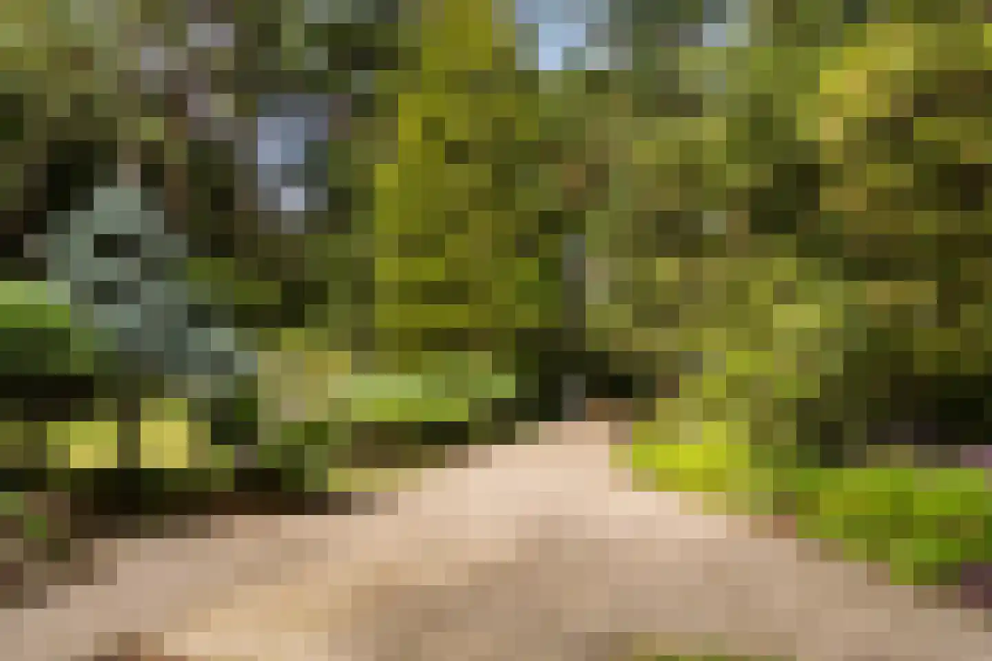 Wagnerlaan 36 Bilthoven thumbnail 57