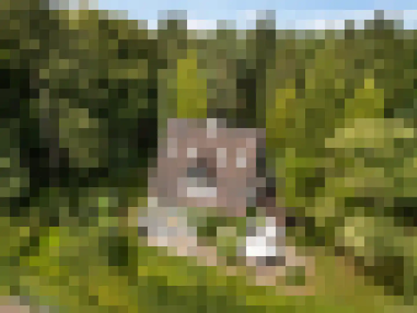 Wagnerlaan 36 Bilthoven thumbnail 58