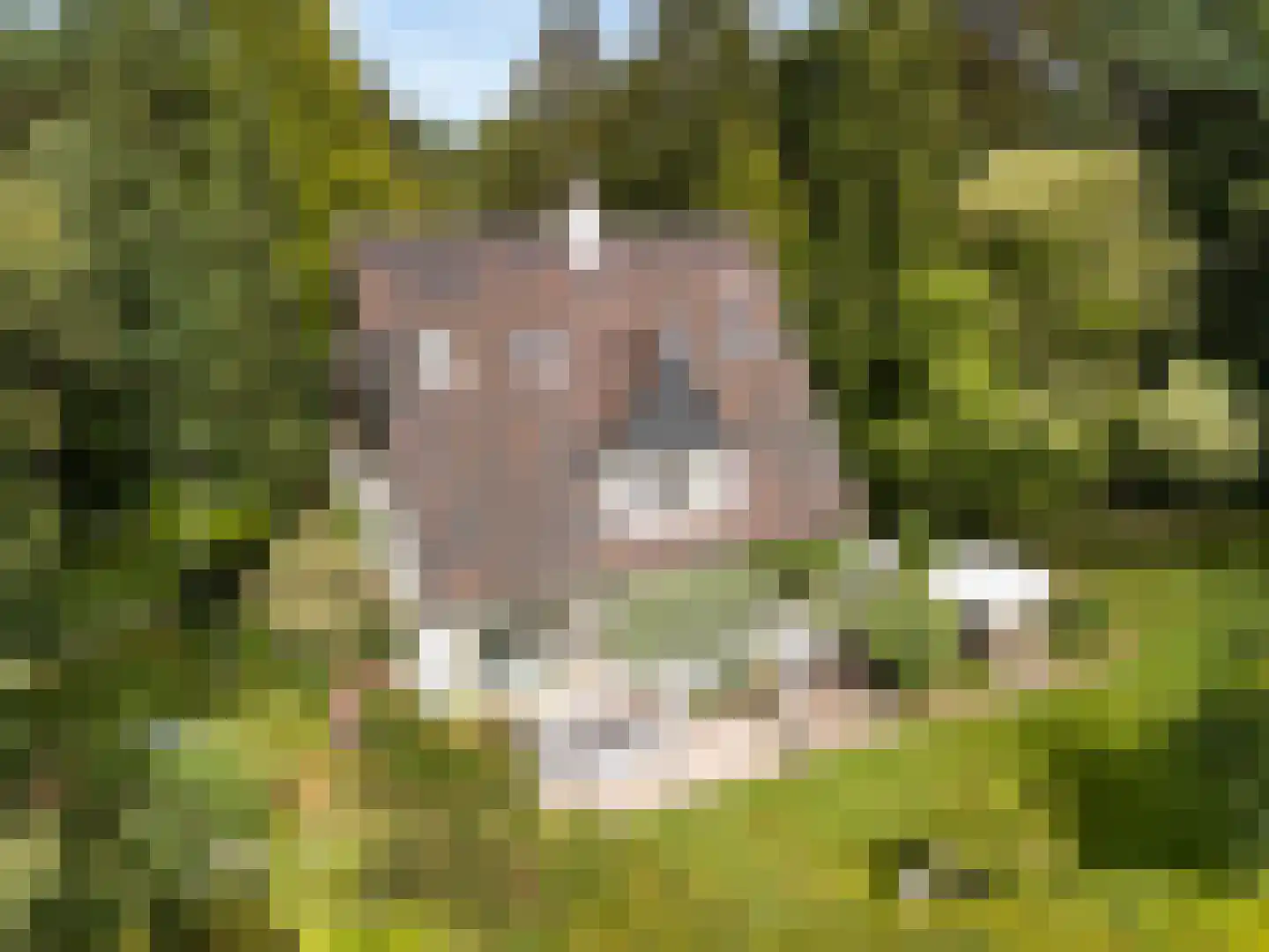 Wagnerlaan 36 Bilthoven thumbnail 59