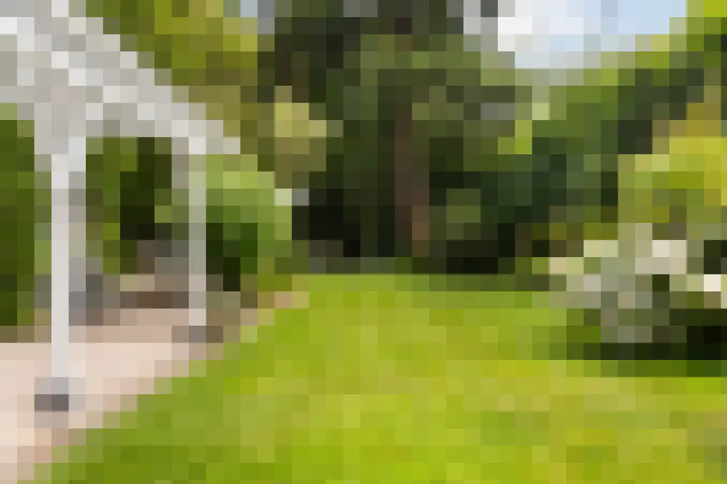 Wagnerlaan 36 Bilthoven thumbnail 6
