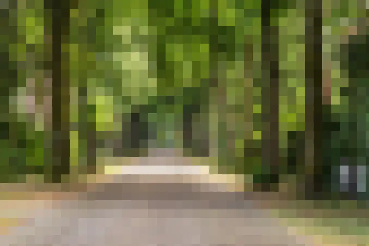 Wagnerlaan 36 Bilthoven thumbnail 60