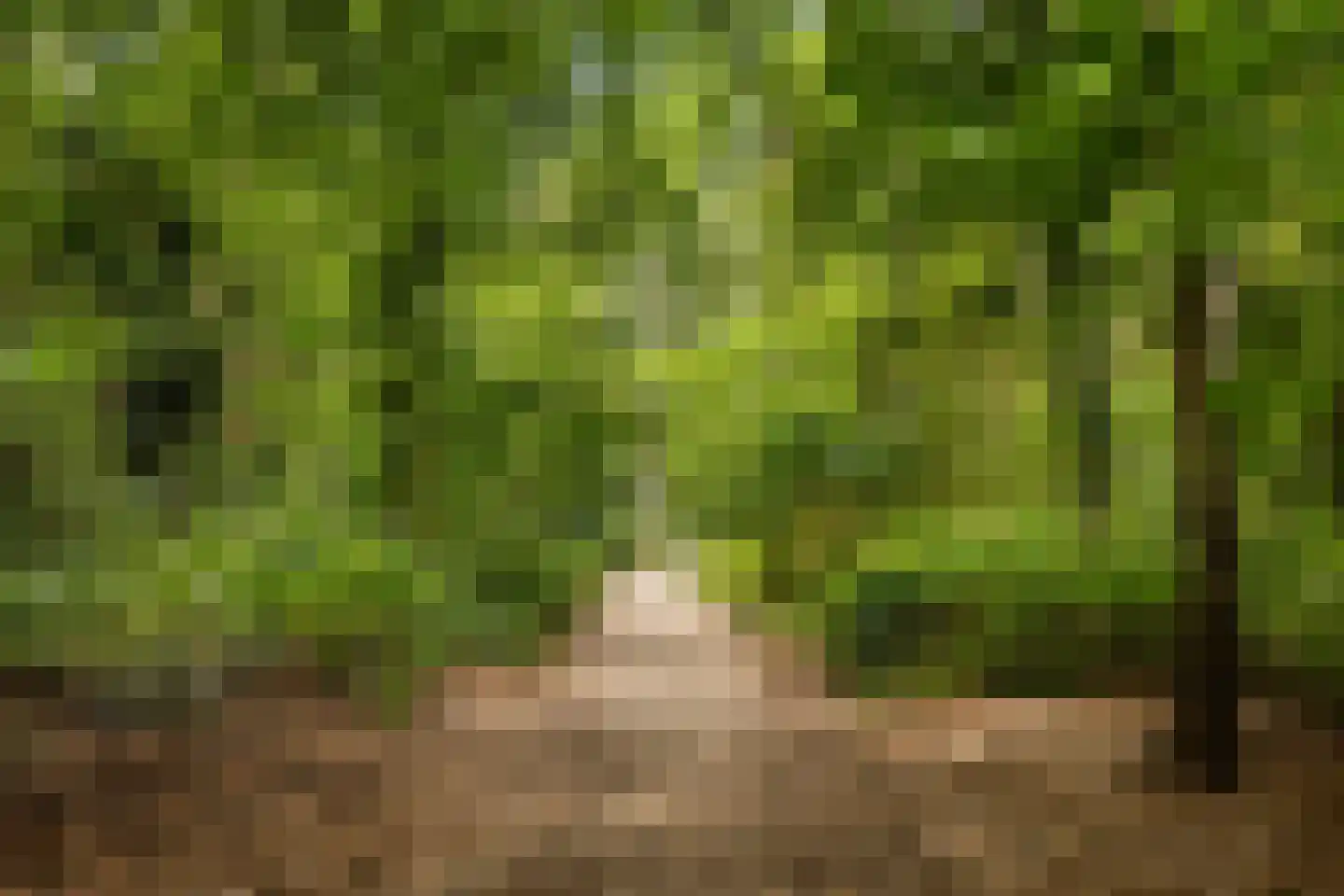 Wagnerlaan 36 Bilthoven thumbnail 63