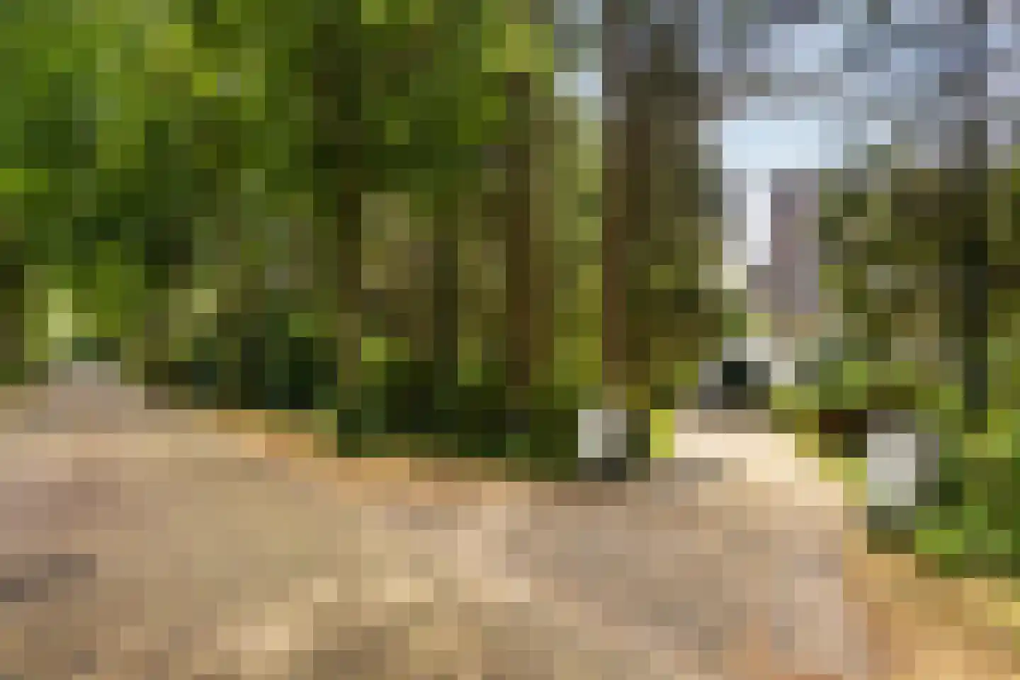 Wagnerlaan 36 Bilthoven thumbnail 64