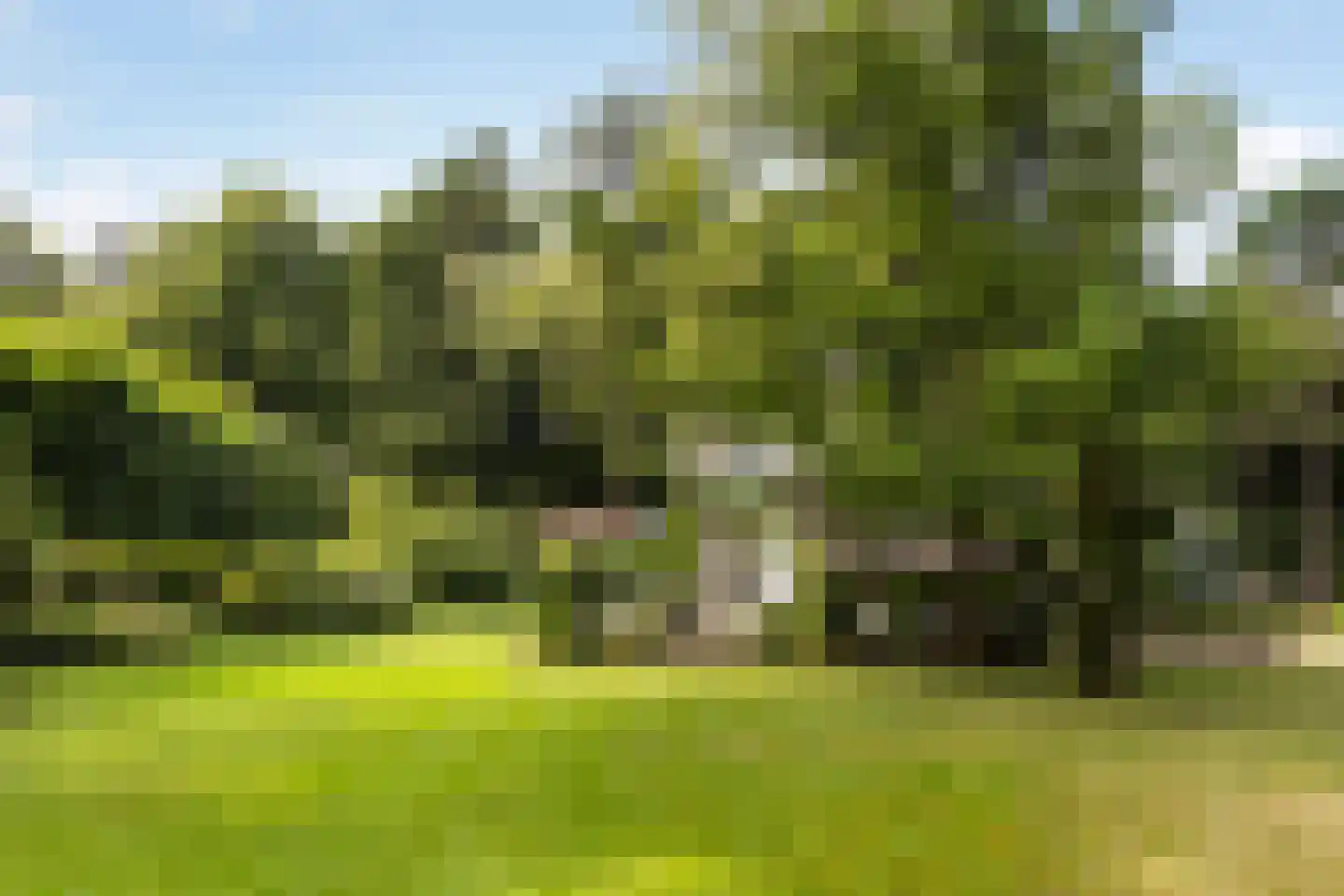 Wagnerlaan 36 Bilthoven thumbnail 7