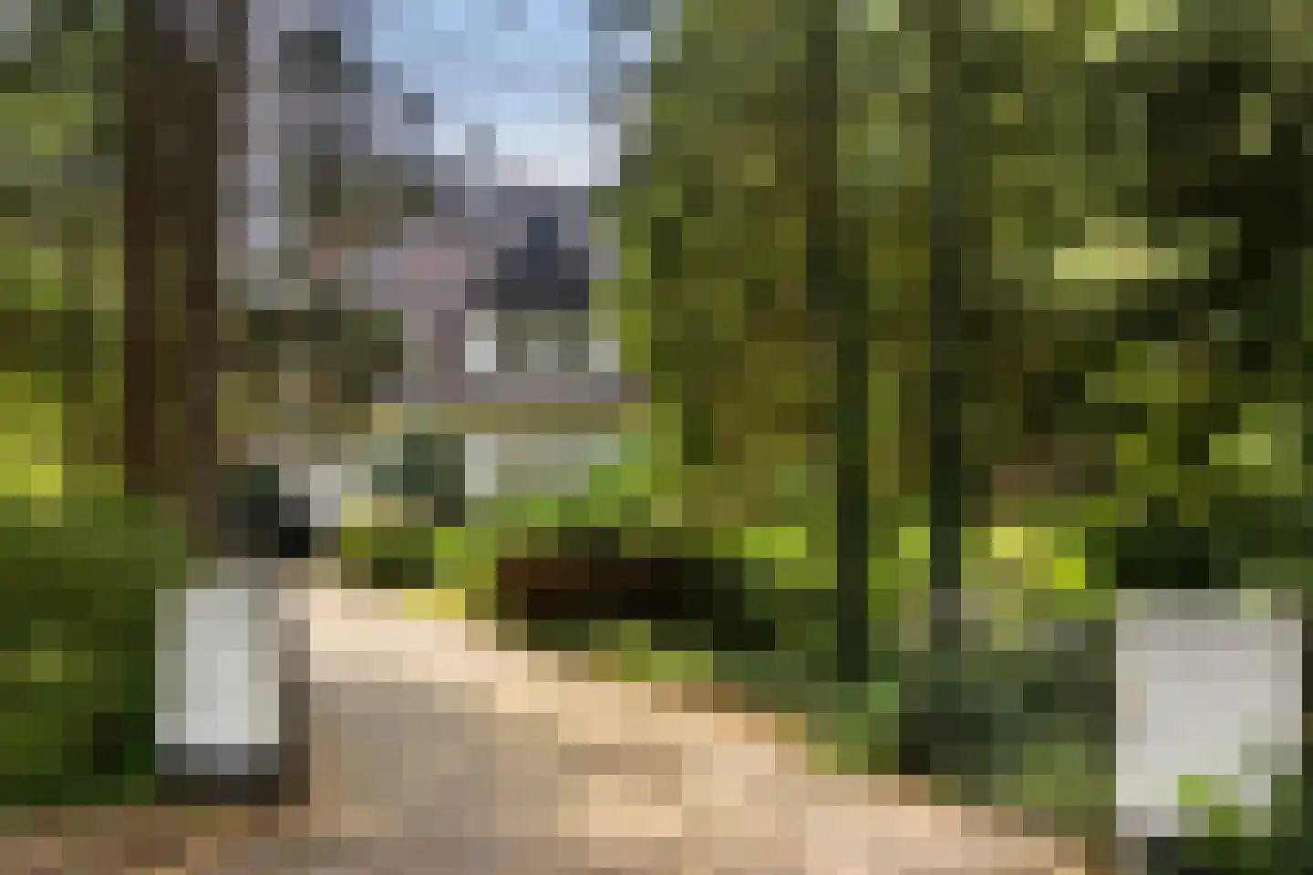 Wagnerlaan 36 Bilthoven thumbnail 8