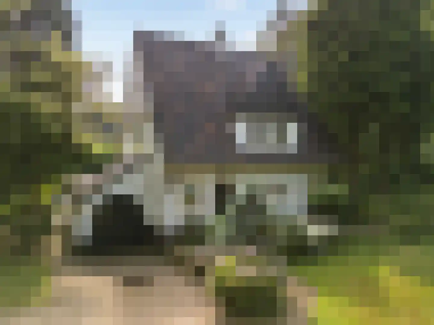 Wagnerlaan 36 Bilthoven thumbnail 9