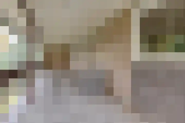 Wagnerlaan 4 Rosmalen thumbnail 26
