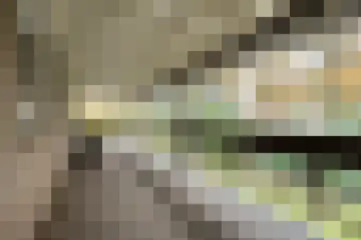 Wagnerlaan 4 Rosmalen thumbnail 27