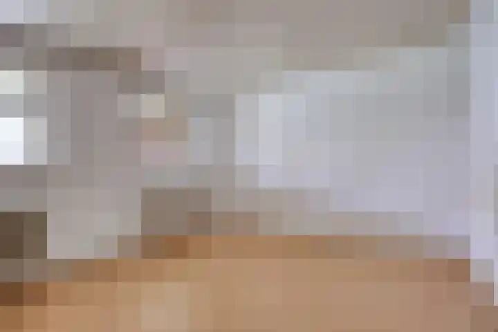 Wagnerlaan 4 Rosmalen thumbnail 31