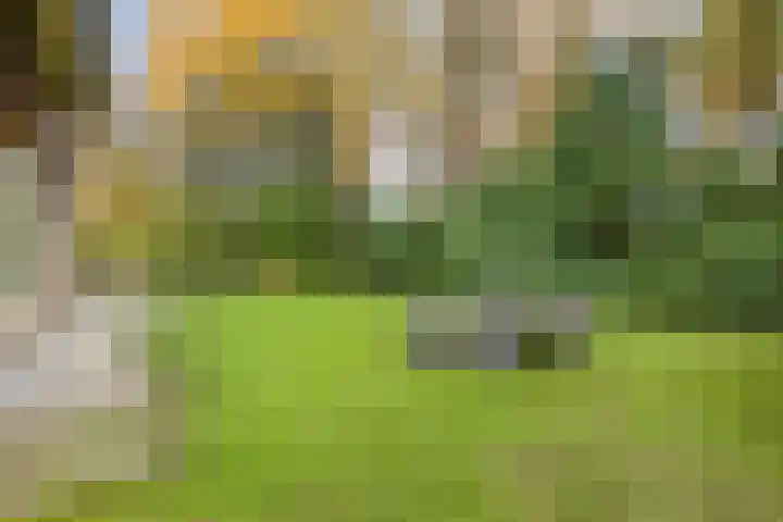Wagnerlaan 4 Rosmalen thumbnail 35