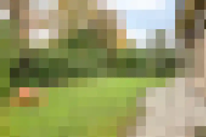Wagnerlaan 4 Rosmalen thumbnail 36