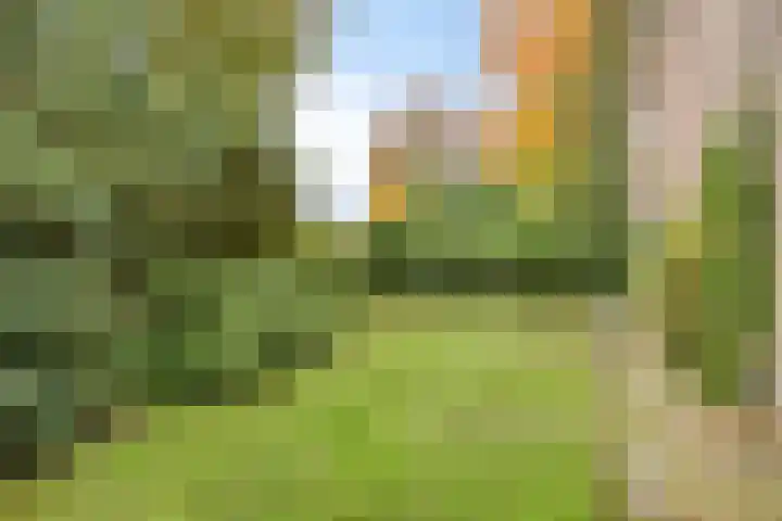 Wagnerlaan 4 Rosmalen thumbnail 37