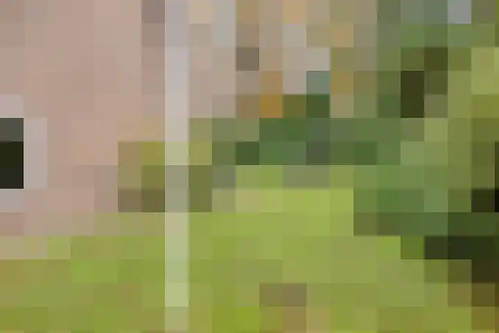 Wagnerlaan 4 Rosmalen thumbnail 38