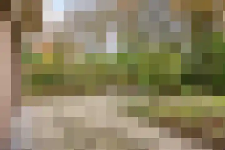 Wagnerlaan 4 Rosmalen thumbnail 40