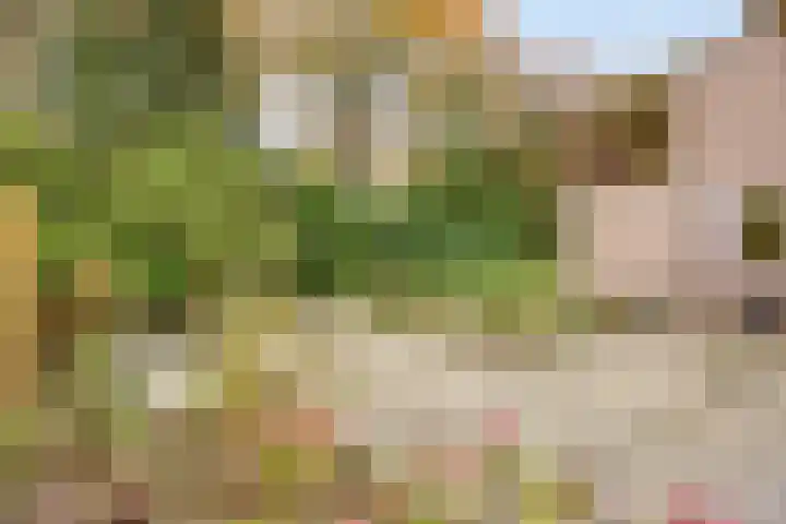 Wagnerlaan 4 Rosmalen thumbnail 41