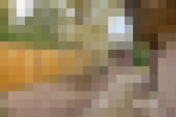 Wagnerlaan 4 Rosmalen thumbnail 42